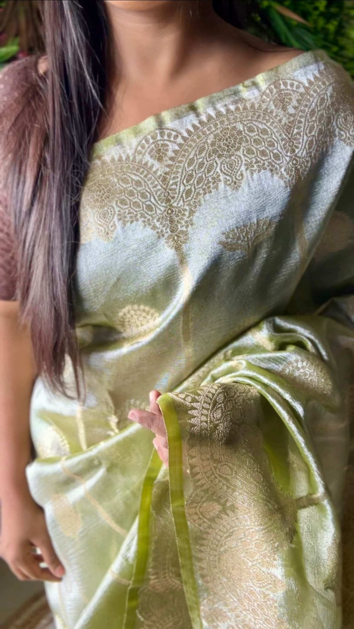 Green tissue scallop boarder banarasi silk saree Niaura