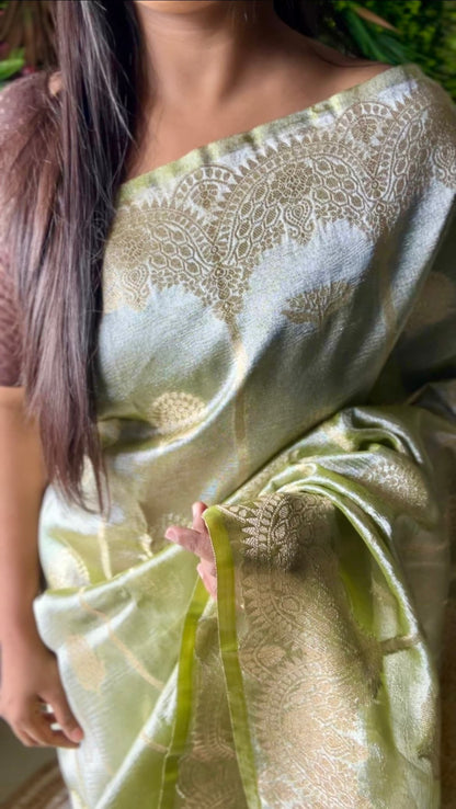 Green tissue scallop boarder banarasi silk saree Niaura